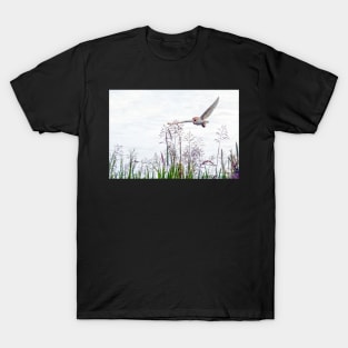 Barn owl hunting over the reed bed T-Shirt